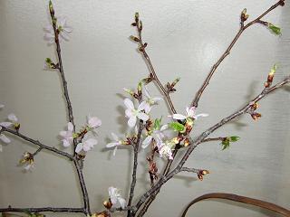 c0187298_2216286.jpg