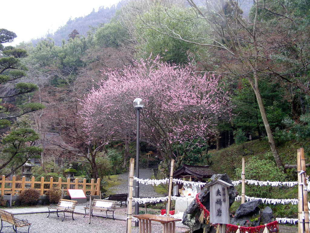 c0145299_22155184.jpg
