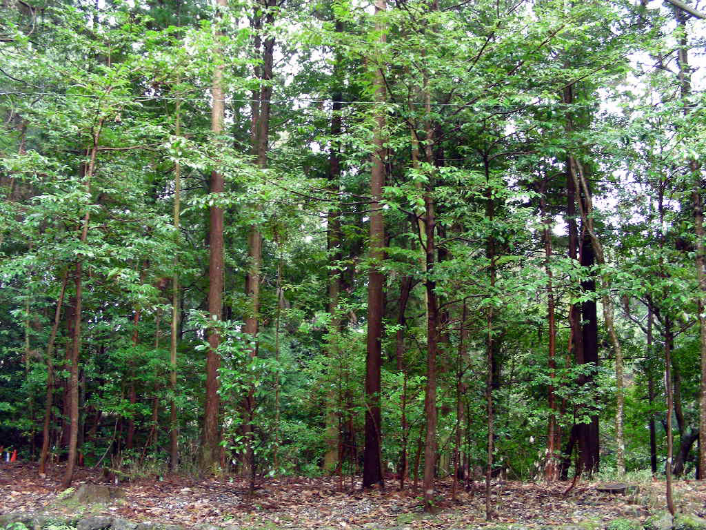c0145299_2272335.jpg