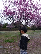 c0151903_21461910.jpg