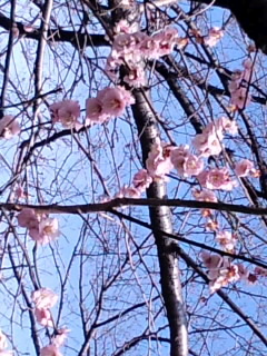a0088007_22283221.jpg