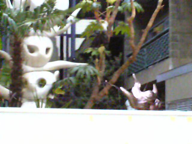 e0015108_8262468.jpg
