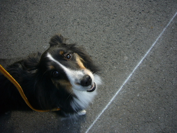 e0130008_19465199.jpg