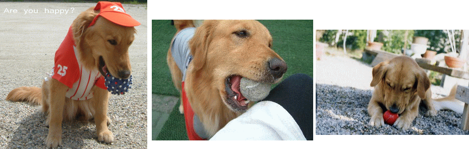 c0017311_1026538.gif