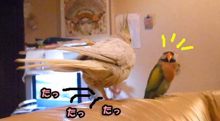 c0133013_15591630.jpg