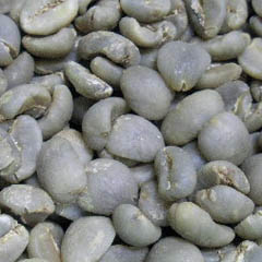 c0036617_6203311.jpg