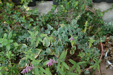 f0217217_1284943.jpg