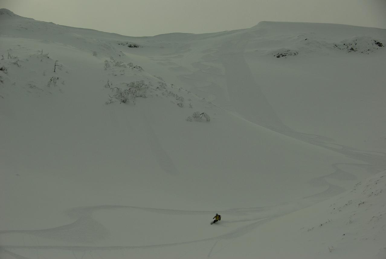 b0062024_755558.jpg