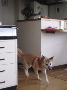 e0191826_022561.jpg
