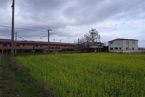 f0007926_10344598.jpg