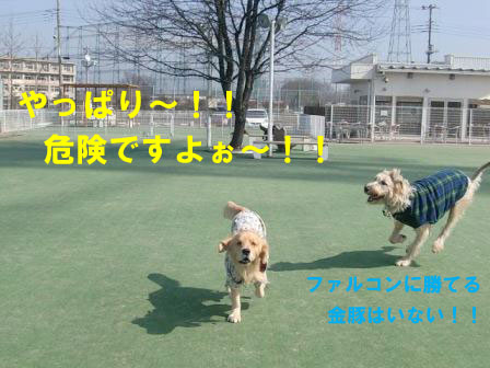 f0176830_20351930.jpg