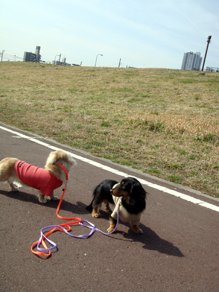 c0117831_19565089.jpg