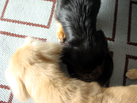c0117831_20133230.jpg