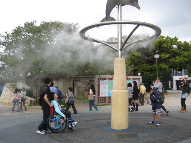 e0166032_204226.jpg