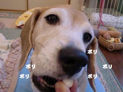 a0169935_1951111.jpg