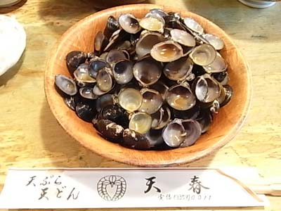b0019140_15415383.jpg