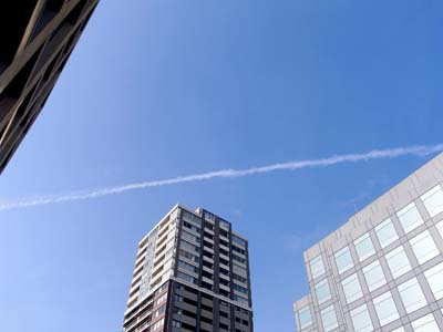 b0019140_15532331.jpg