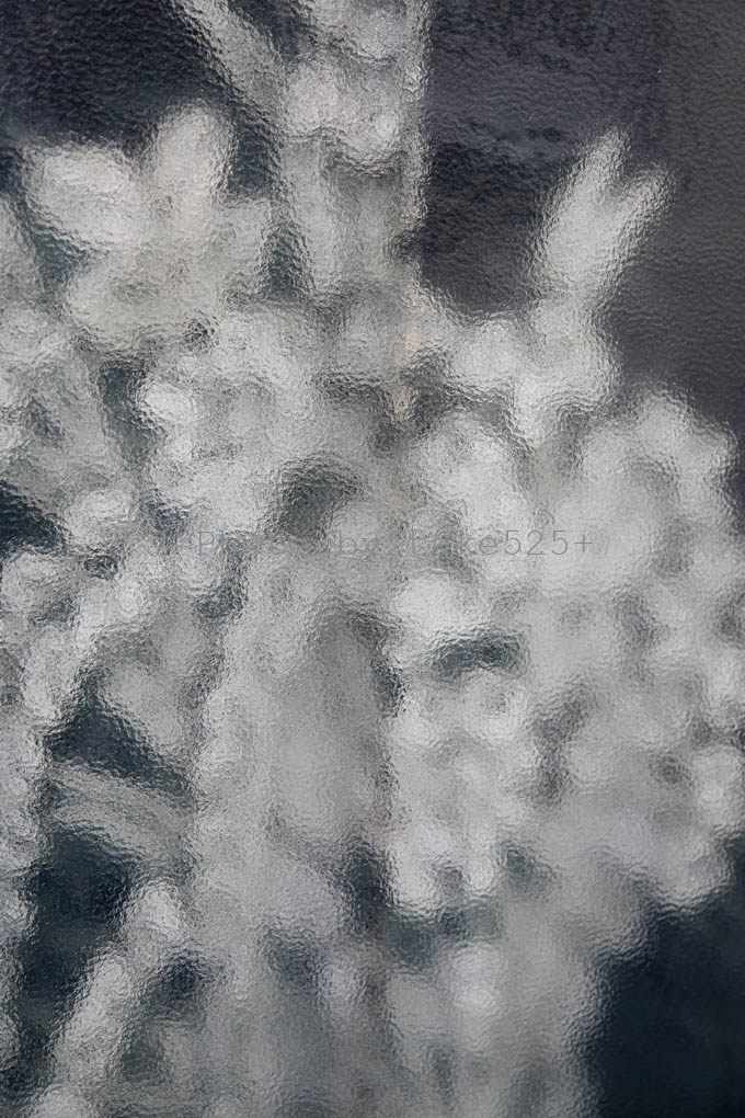 a0116946_6521345.jpg