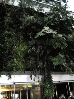 b0117348_1341032.jpg
