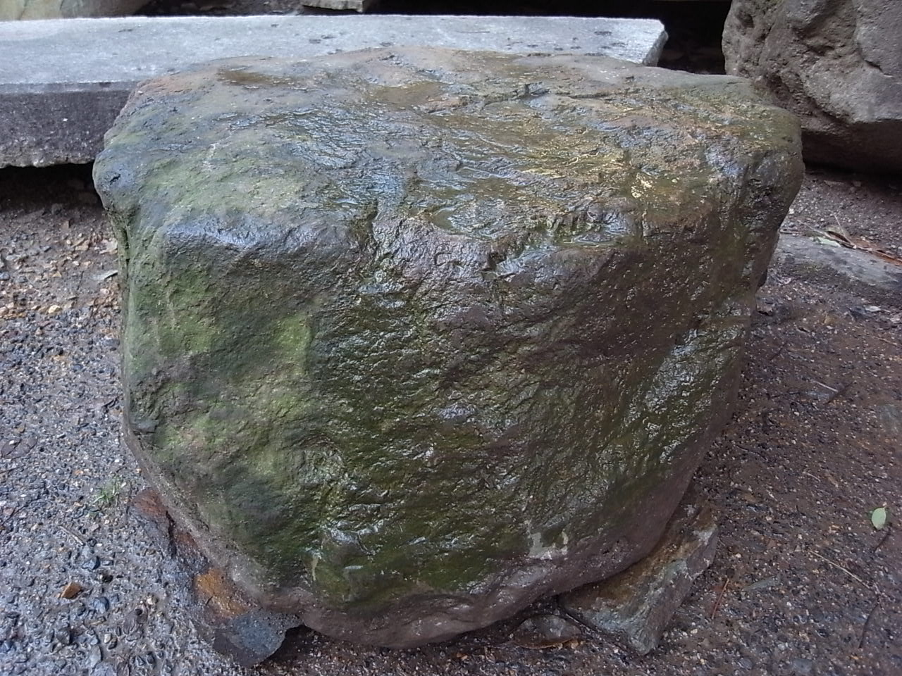 e0126548_1724291.jpg