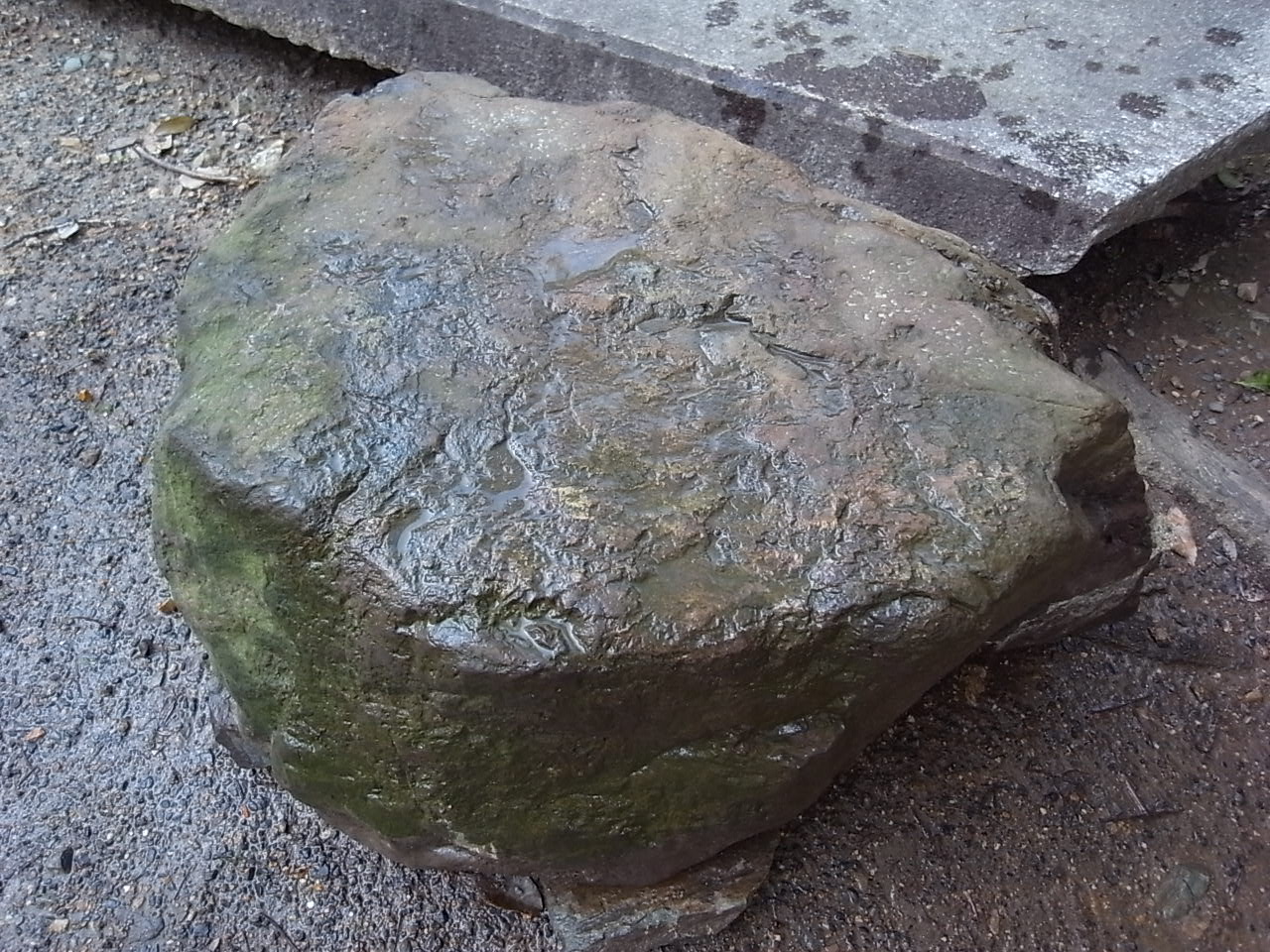 e0126548_17244257.jpg