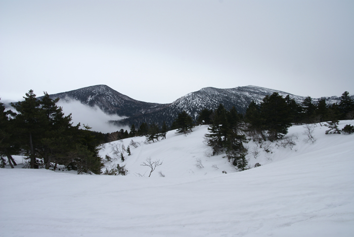 f0214649_2331163.jpg