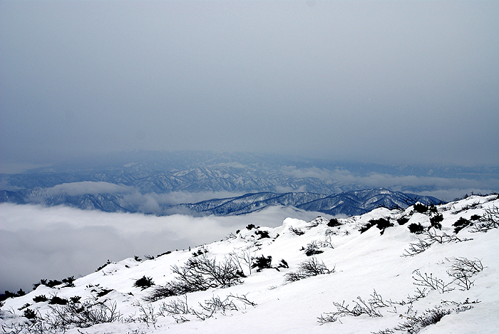 f0214649_2348932.jpg