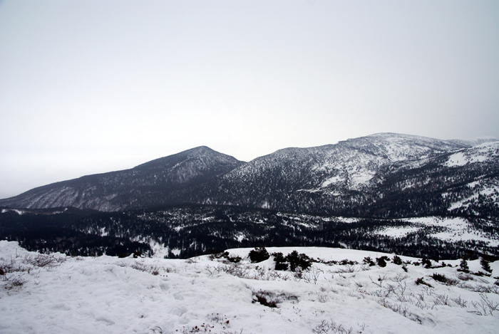 f0214649_2349631.jpg