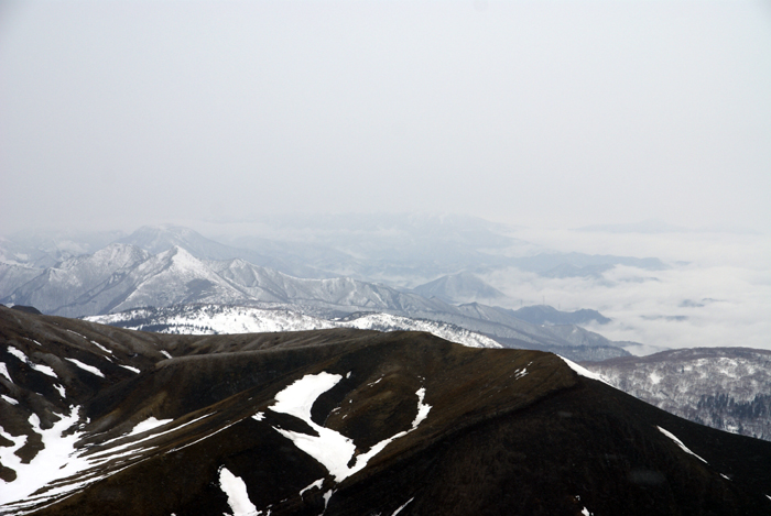 f0214649_23501016.jpg