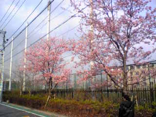 b0018957_23325342.jpg