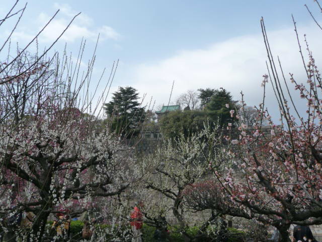 c0167359_20474645.jpg