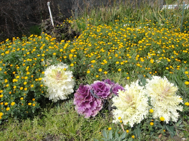 c0108460_16165648.jpg
