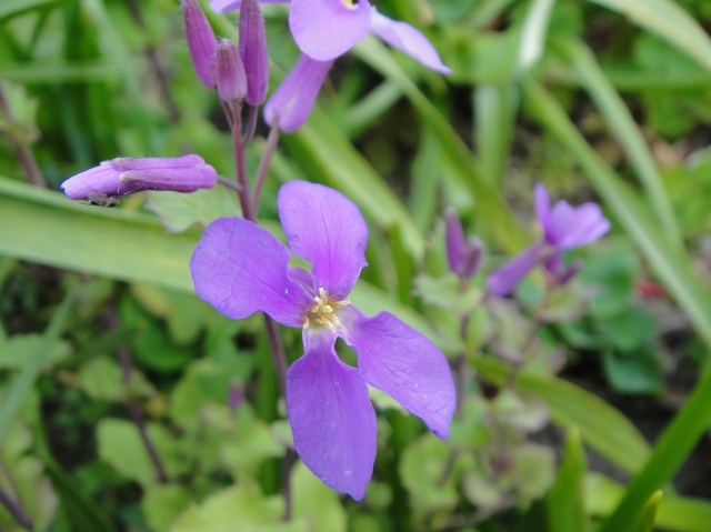 c0108460_16193811.jpg