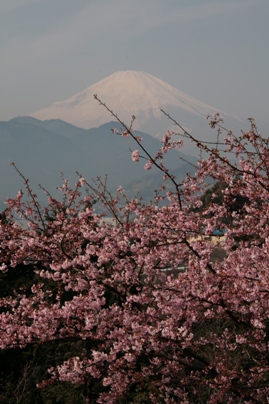 b0138661_221699.jpg