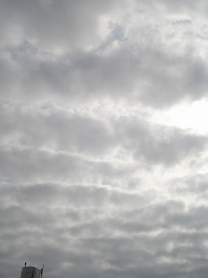 b0086362_15314942.jpg
