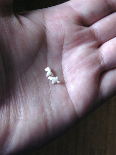 c0023170_10332373.jpg
