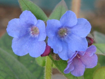 d0050472_1852415.jpg