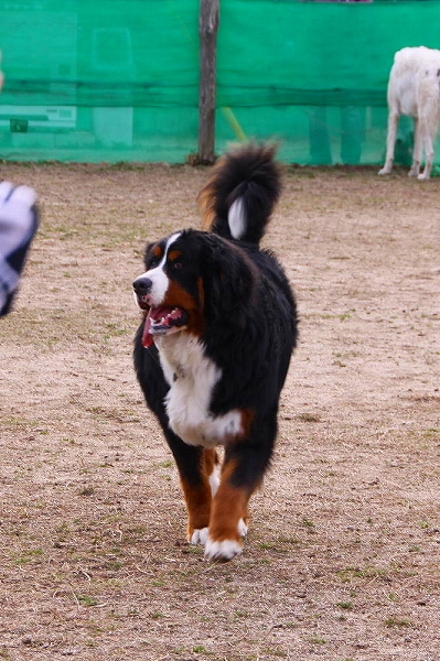 c0149178_1842587.jpg