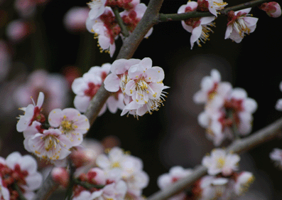 b0159780_23403926.gif