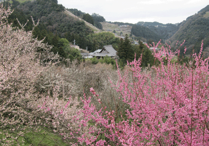 b0159780_2340717.gif