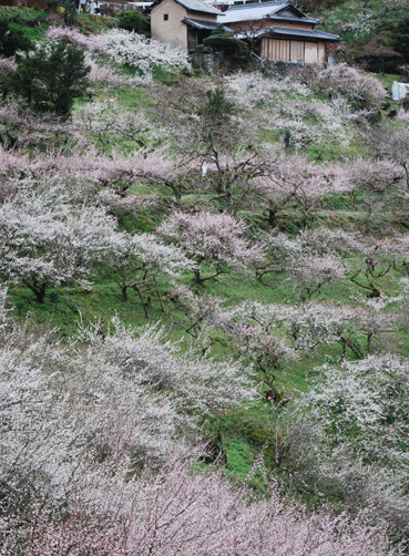 b0159780_23472433.gif