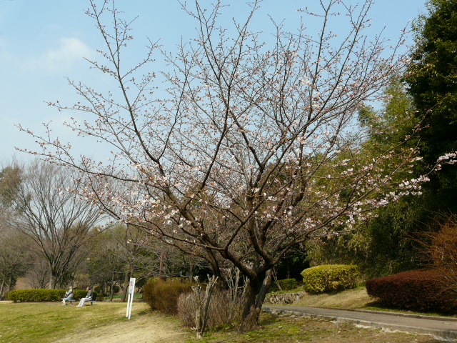 e0145782_1691053.jpg