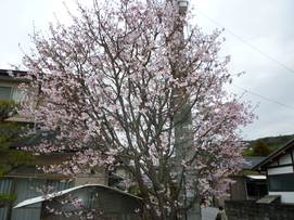 f0221382_16175028.jpg