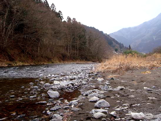 c0136486_10451290.jpg