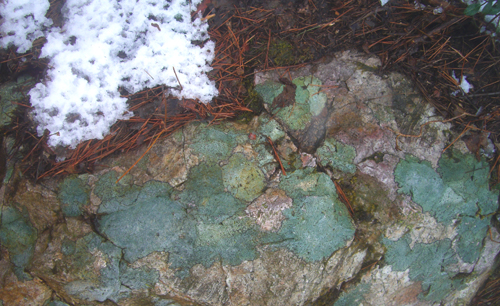 b0099994_14171030.jpg