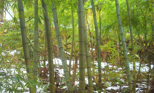 b0099994_14265892.jpg
