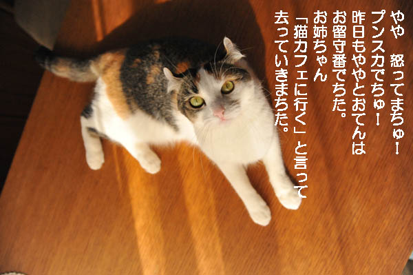 b0141397_11145657.jpg