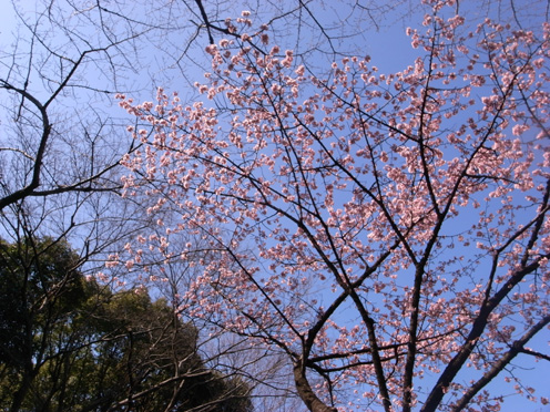 e0043700_2243719.jpg