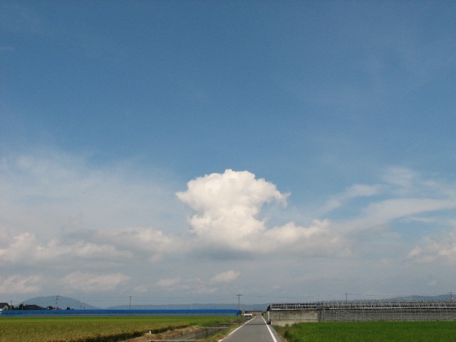 f0216701_12511075.jpg