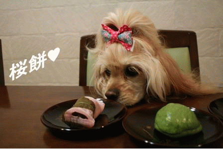 c0128303_920139.gif